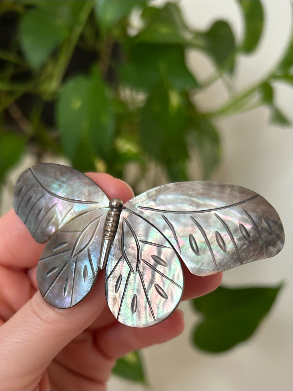 Barrette MotherOfPearl Abalone Butterfly